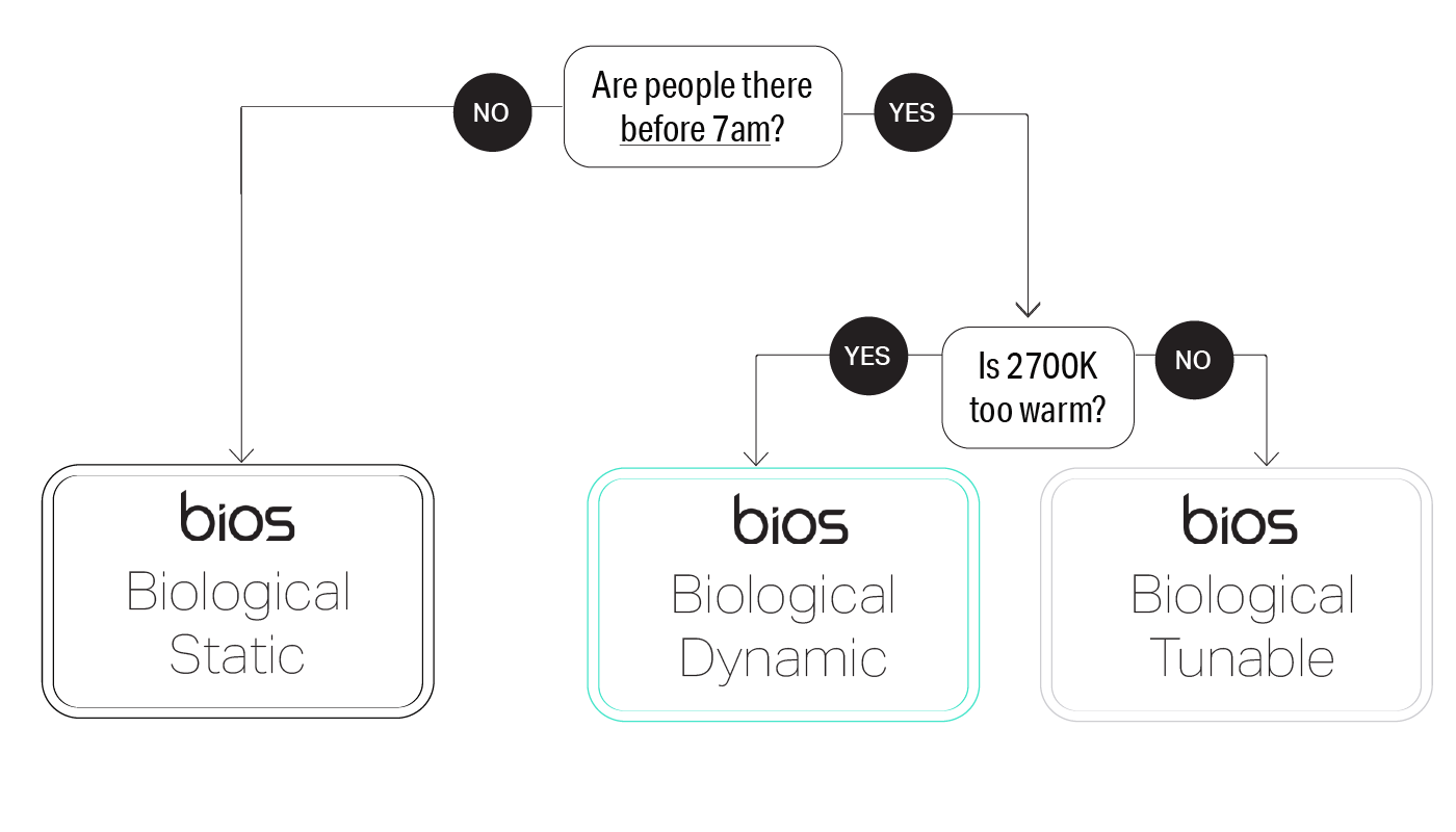 BIOS Decision Tree