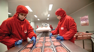 Food Processing Lighting featuring inspection section of meat processing line
