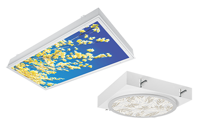 iMAGINE Series Healthcare Category