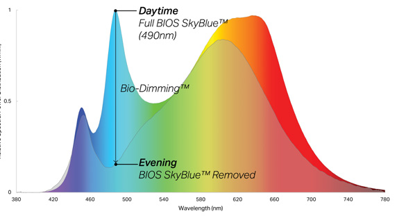 SkyBlue Dynamic Spectrum Diagram