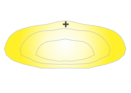 Light Distribution Type 2 with House-side shield