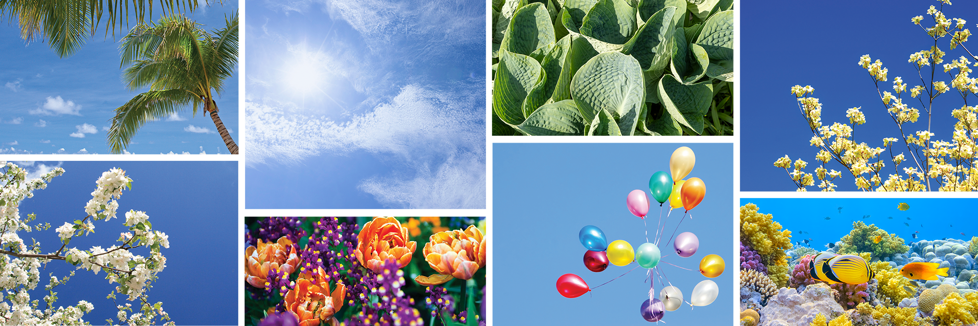 iMAGINE Nature Series image examples