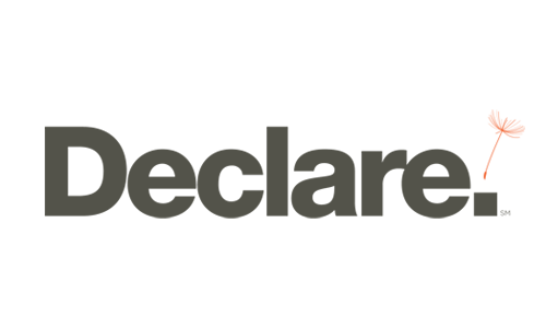 Declare logo