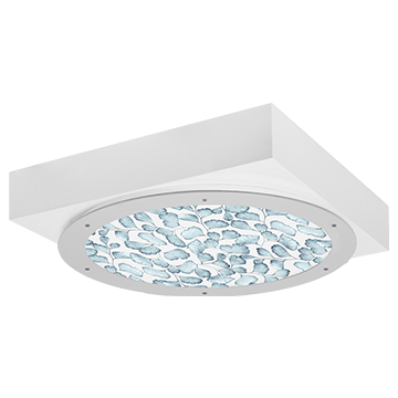 BHRT_34_iMAGINE-fernie-blue.png