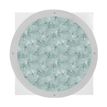 BHRT_top_iMAGINE-leaves.png