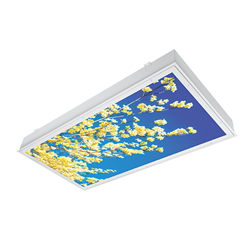 CS24_34_iMAGINE-yellow-blossom.png