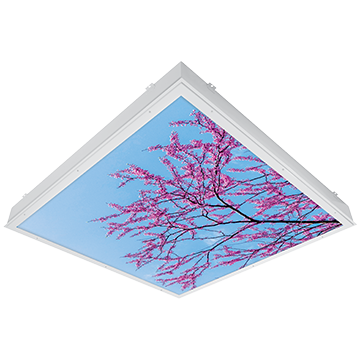 CS44_34_iMAGINE-pink-blossom.png